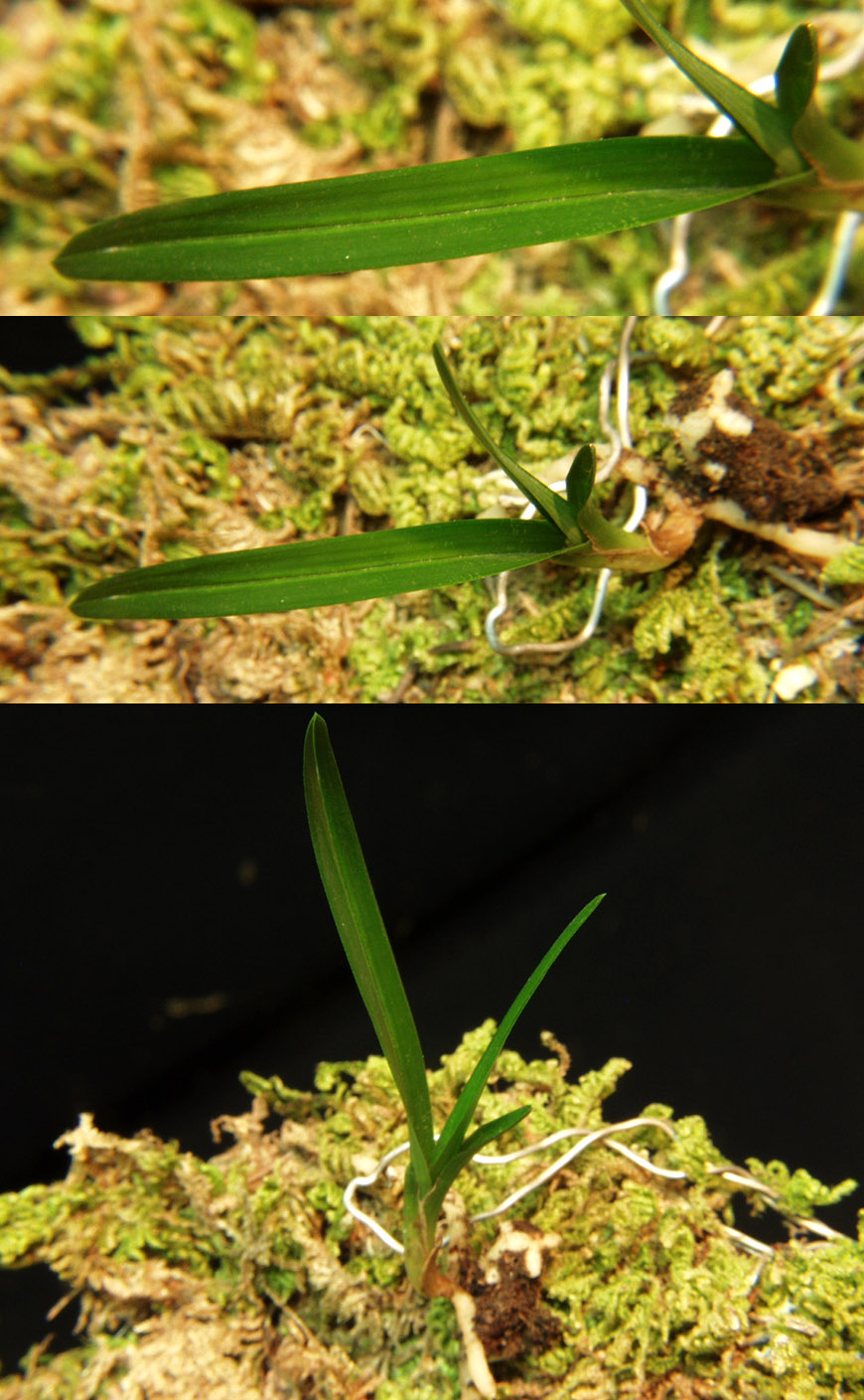 ������ ū������ �� �� �ֽ��ϴ�.