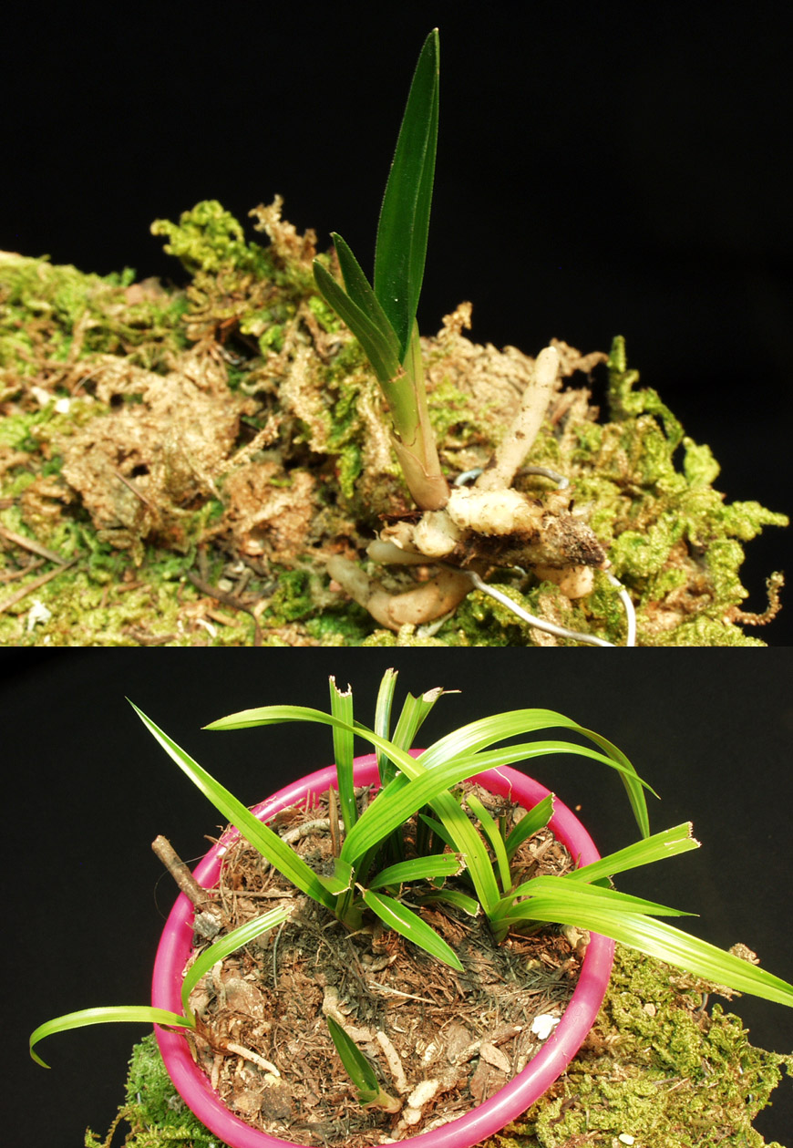 ������ ū������ �� �� �ֽ��ϴ�.