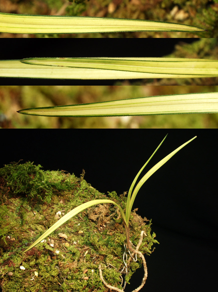 ������ ū������ �� �� �ֽ��ϴ�.