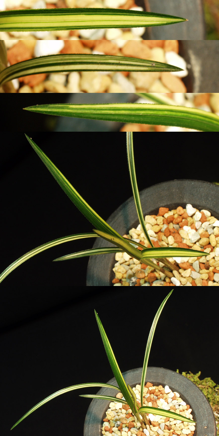 ������ ū������ �� �� �ֽ��ϴ�.