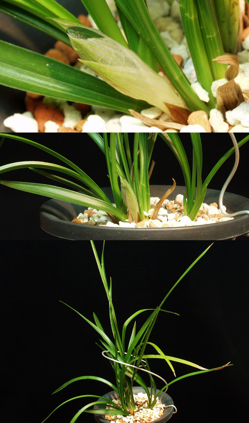 ������ ū������ �� �� �ֽ��ϴ�.