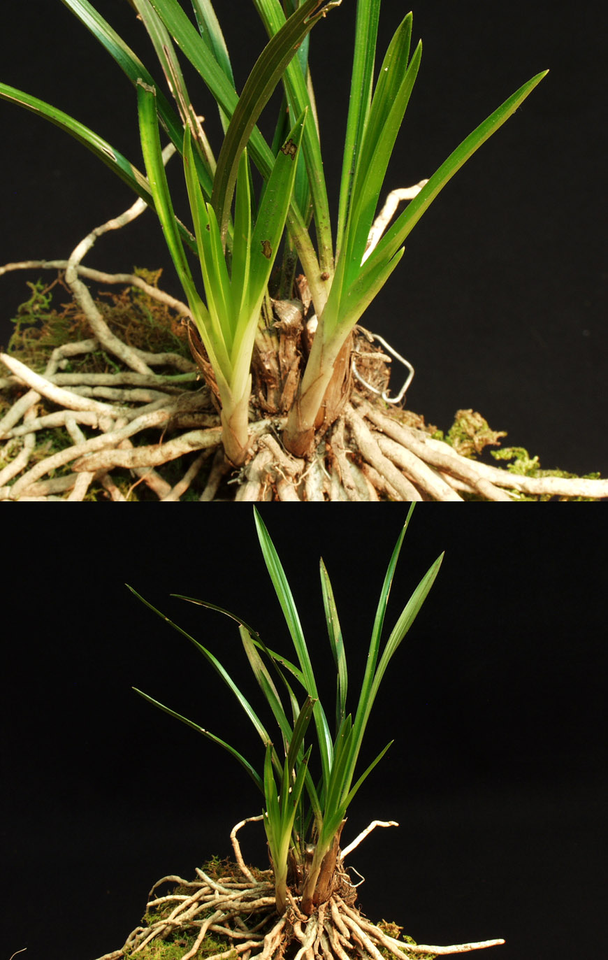 ������ ū������ �� �� �ֽ��ϴ�.