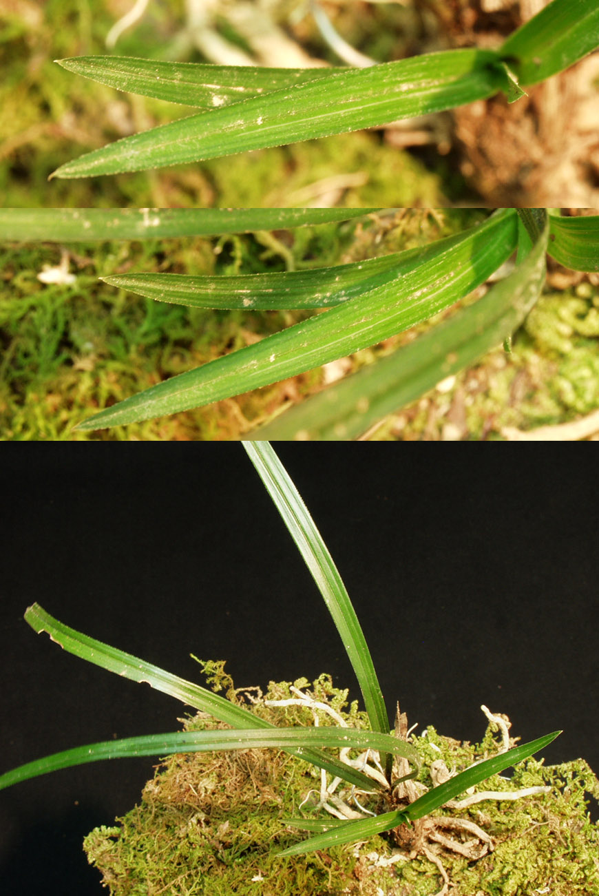 ������ ū������ �� �� �ֽ��ϴ�.