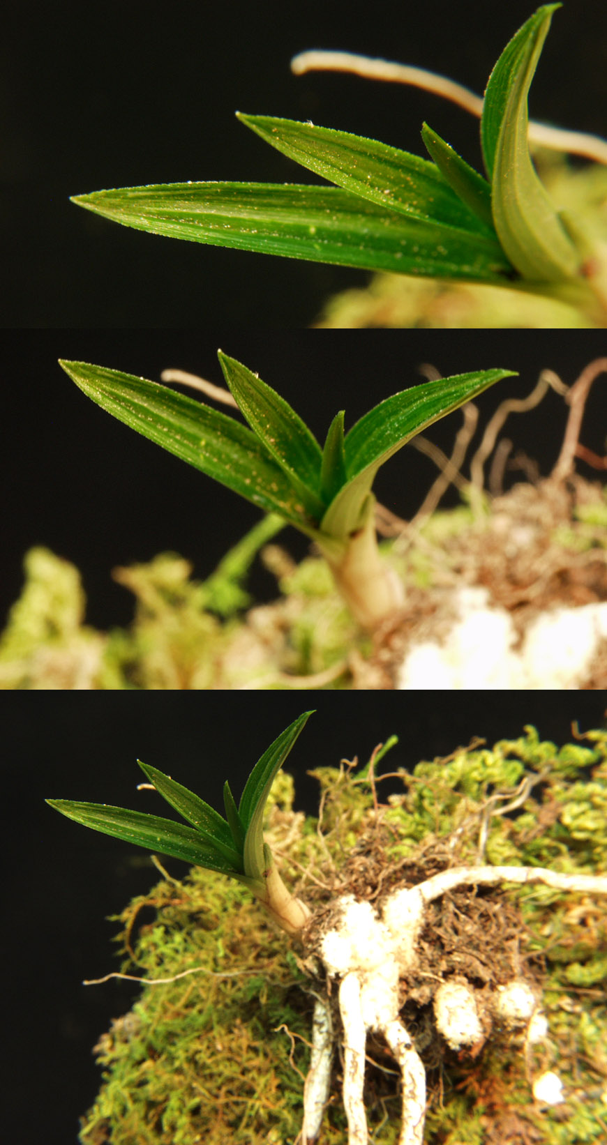 ������ ū������ �� �� �ֽ��ϴ�.