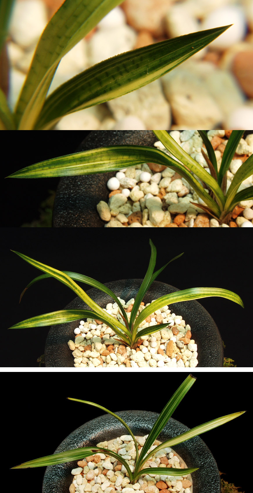 ������ ū������ �� �� �ֽ��ϴ�.