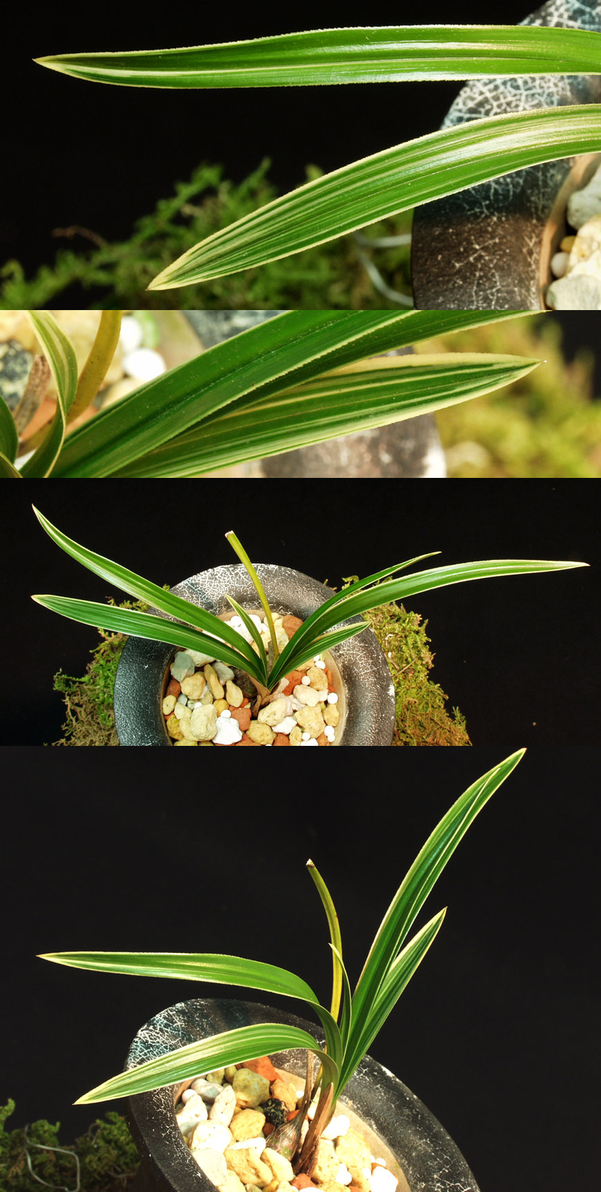 ������ ū������ �� �� �ֽ��ϴ�.