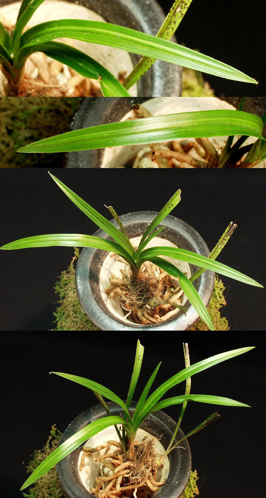 ������ ū������ �� �� �ֽ��ϴ�.