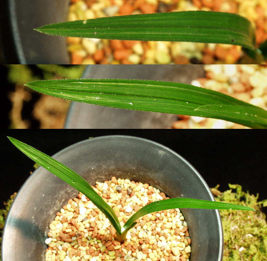 ������ ū������ �� �� �ֽ��ϴ�.