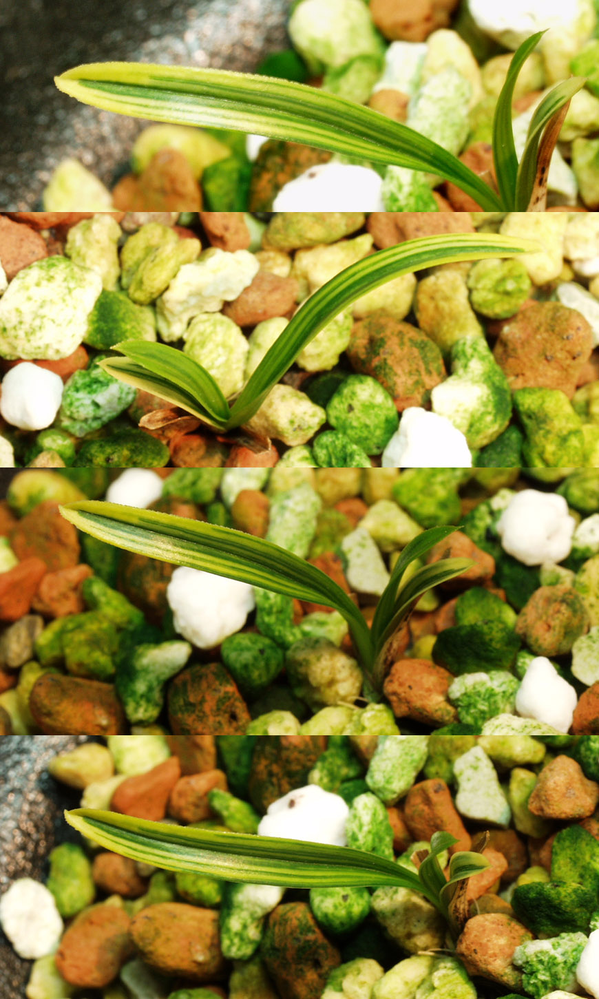 ������ ū������ �� �� �ֽ��ϴ�.