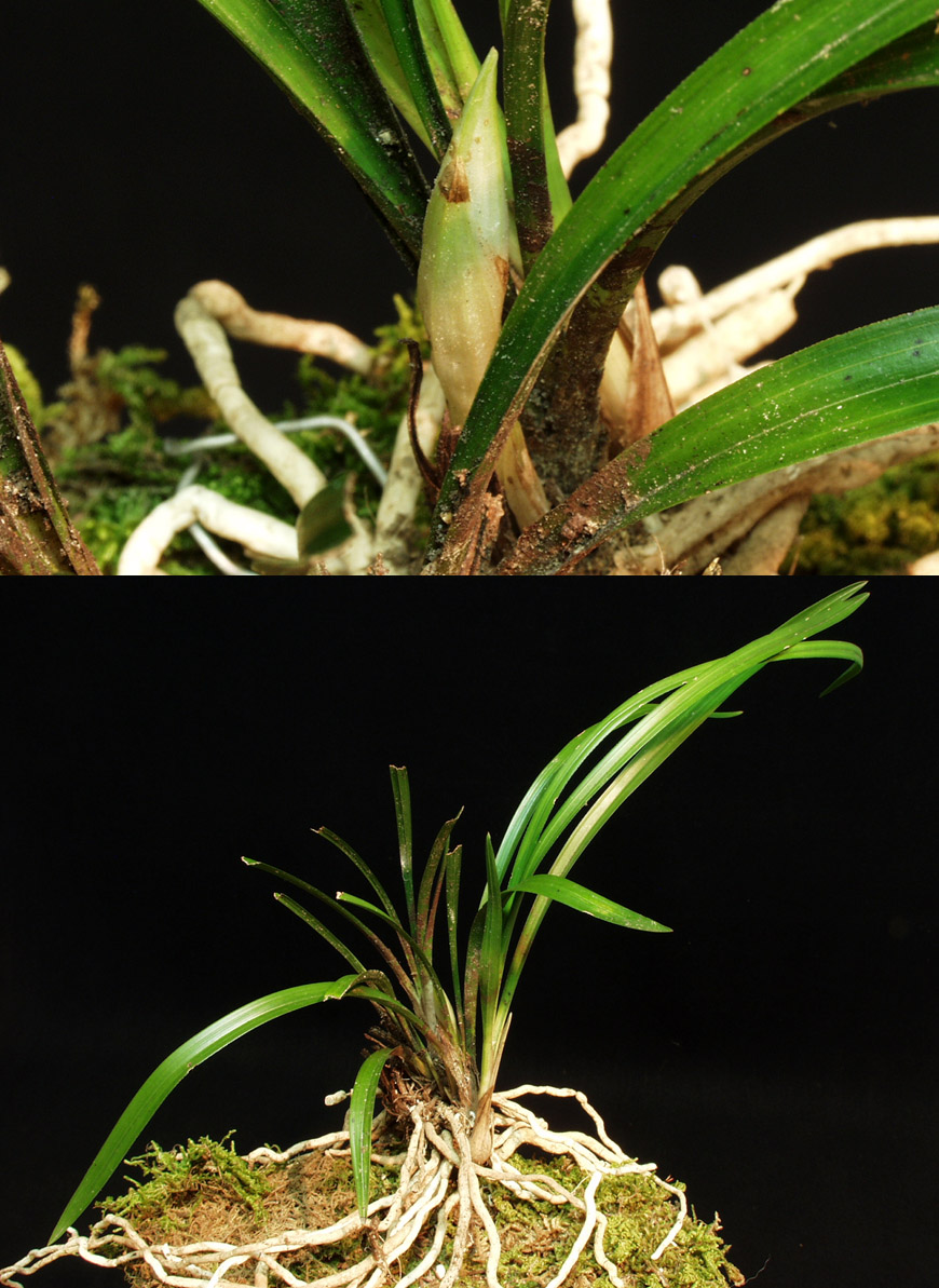 ������ ū������ �� �� �ֽ��ϴ�.