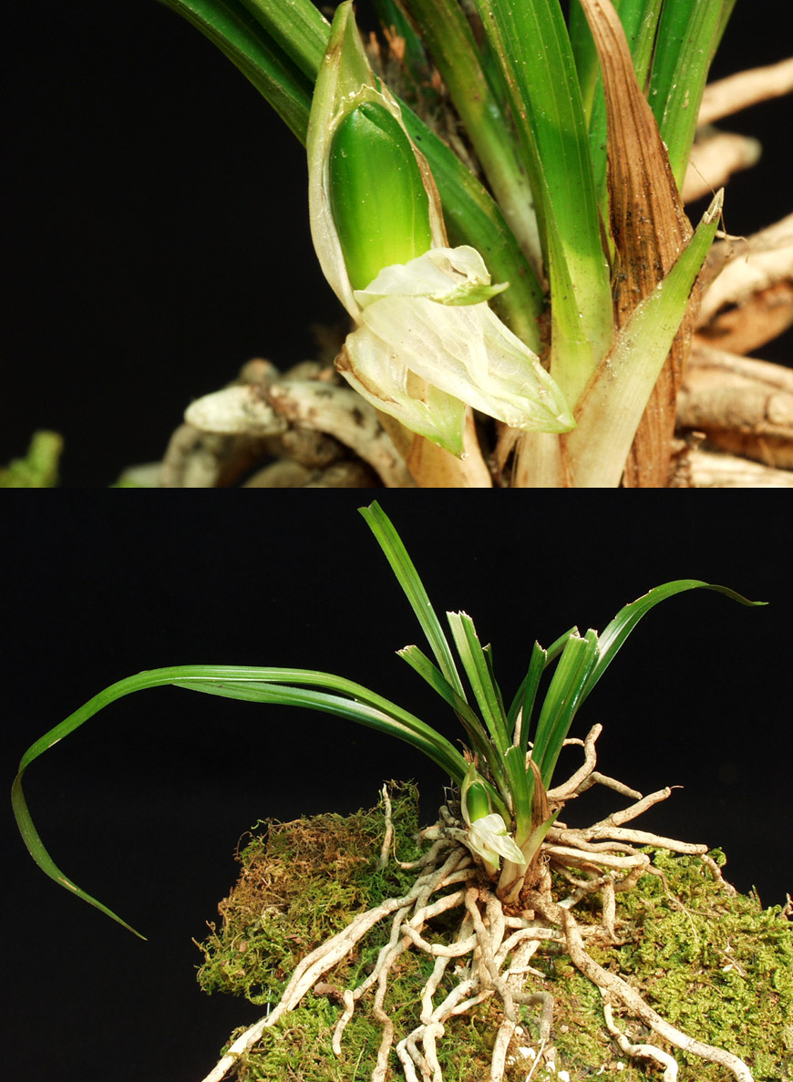 ������ ū������ �� �� �ֽ��ϴ�.