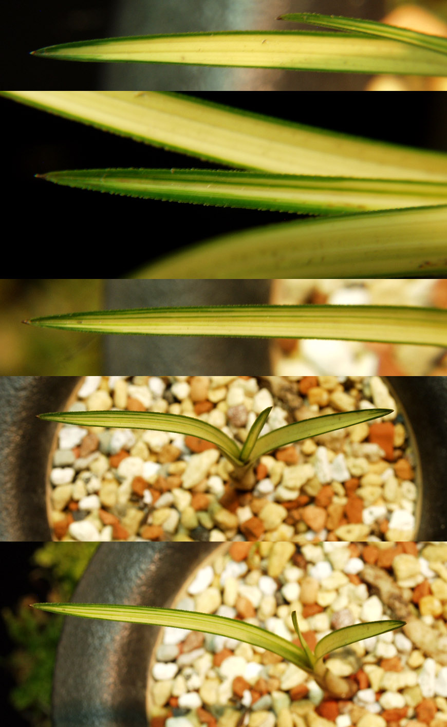 ������ ū������ �� �� �ֽ��ϴ�.