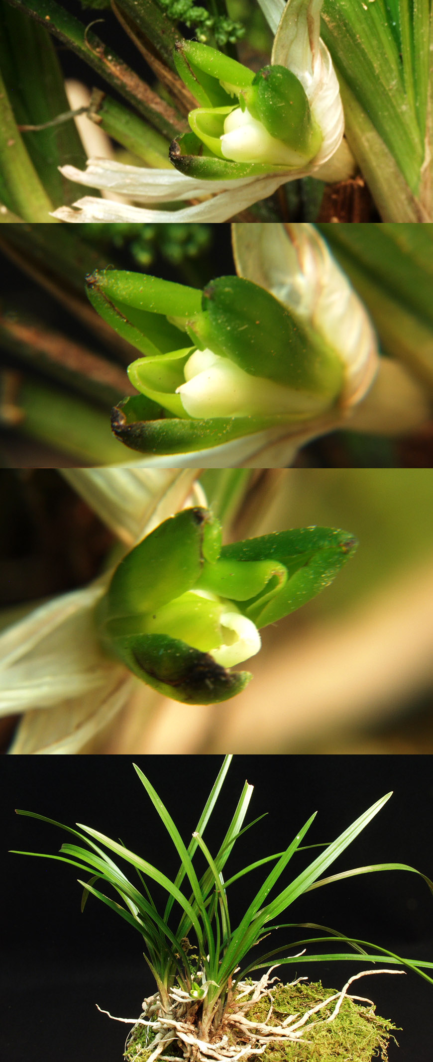 ������ ū������ �� �� �ֽ��ϴ�.