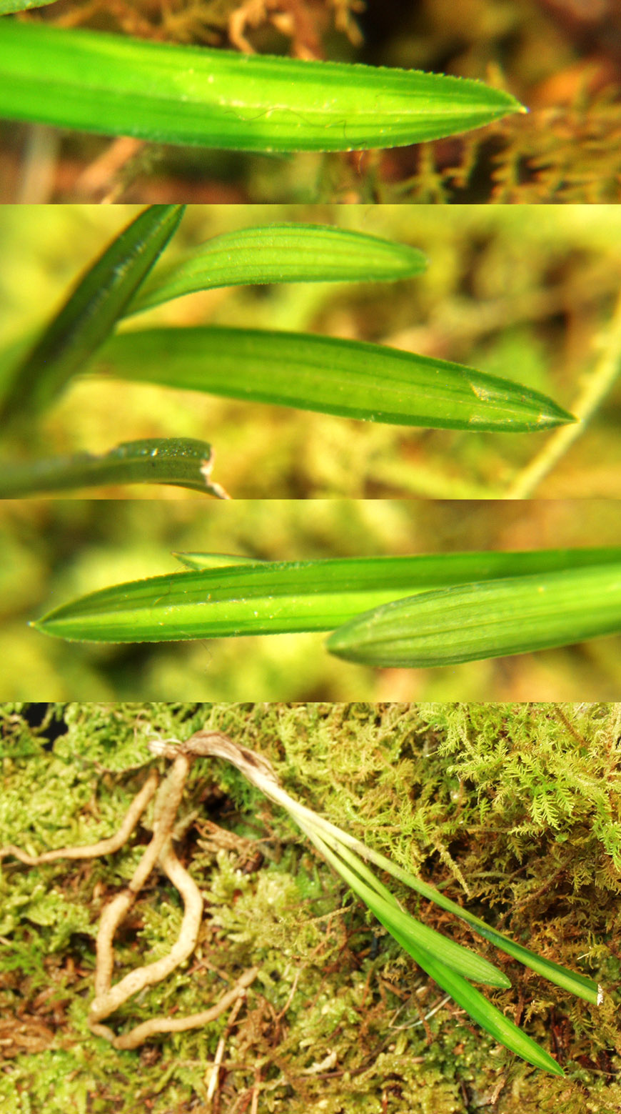 ������ ū������ �� �� �ֽ��ϴ�.