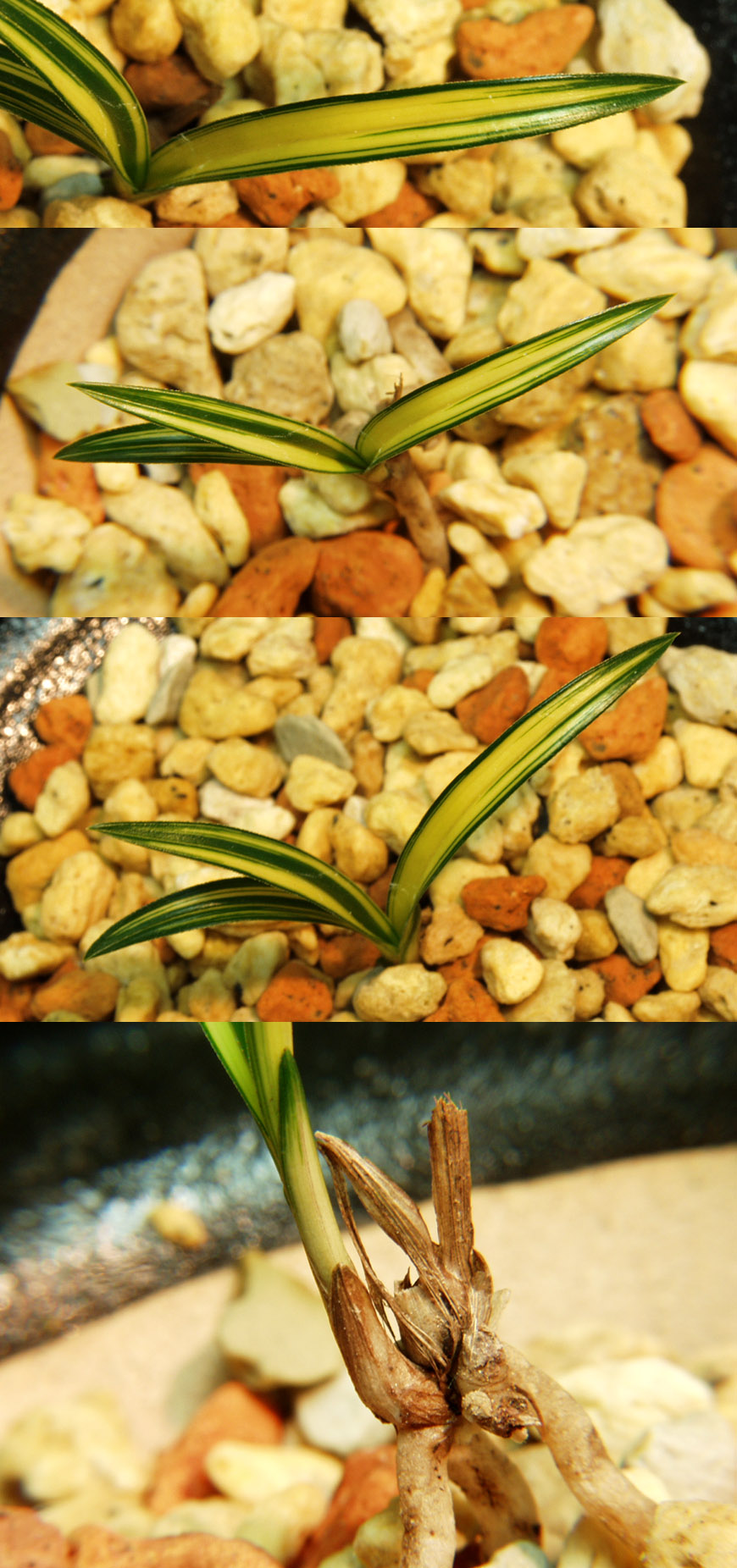 ������ ū������ �� �� �ֽ��ϴ�.