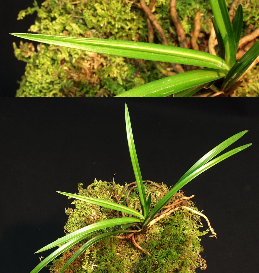 ������ ū������ �� �� �ֽ��ϴ�.