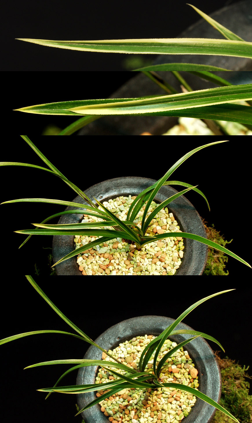 ������ ū������ �� �� �ֽ��ϴ�.