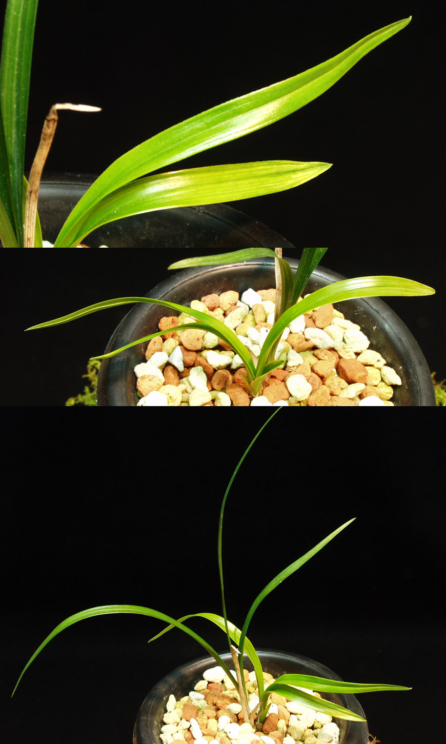 ������ ū������ �� �� �ֽ��ϴ�.