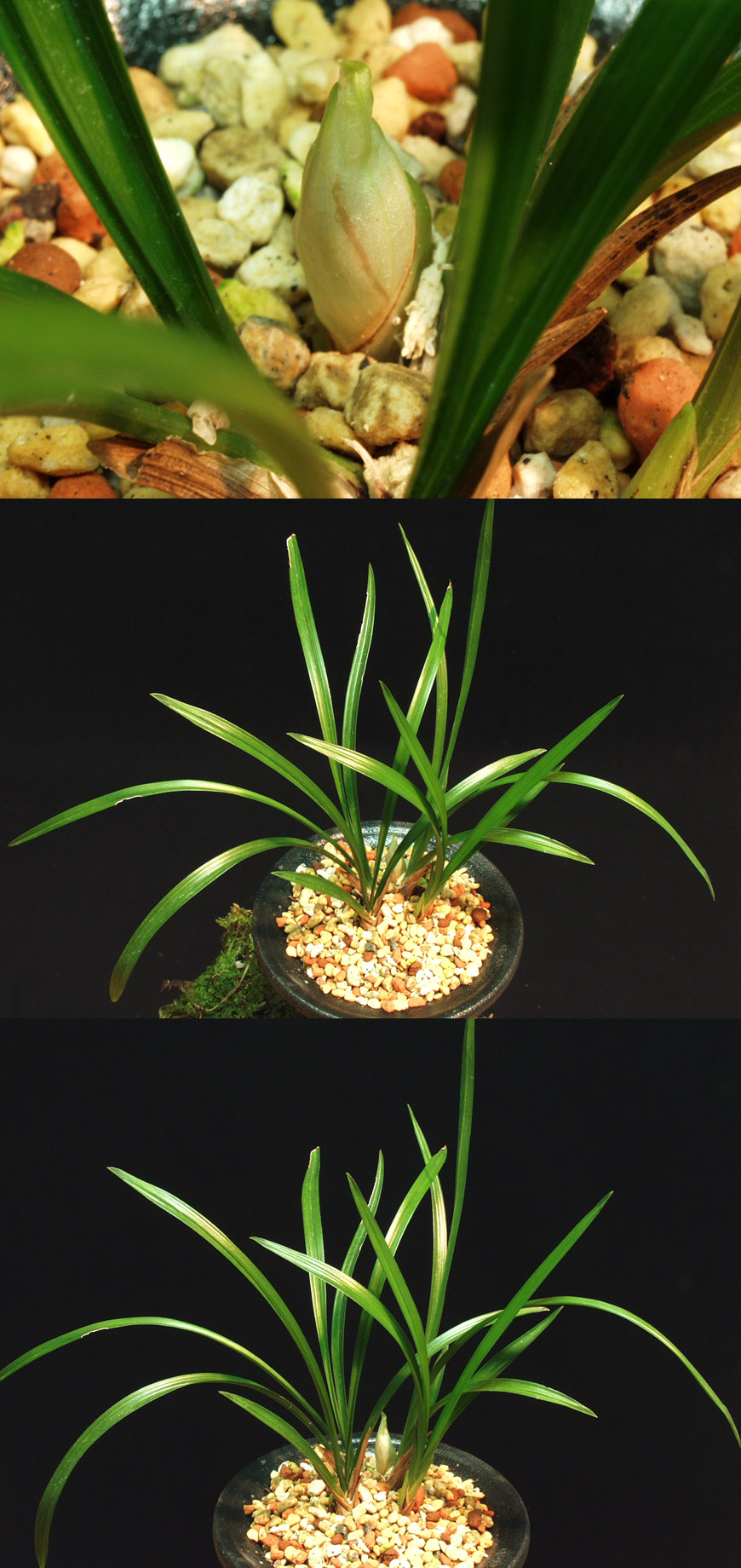 ������ ū������ �� �� �ֽ��ϴ�.