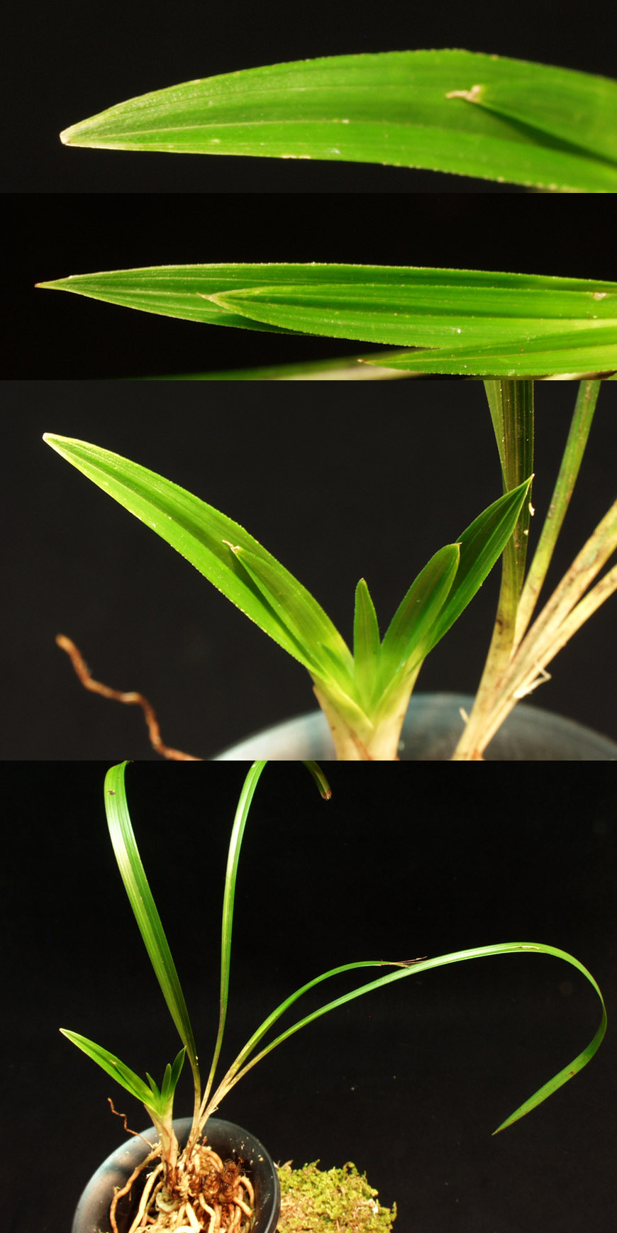 ������ ū������ �� �� �ֽ��ϴ�.