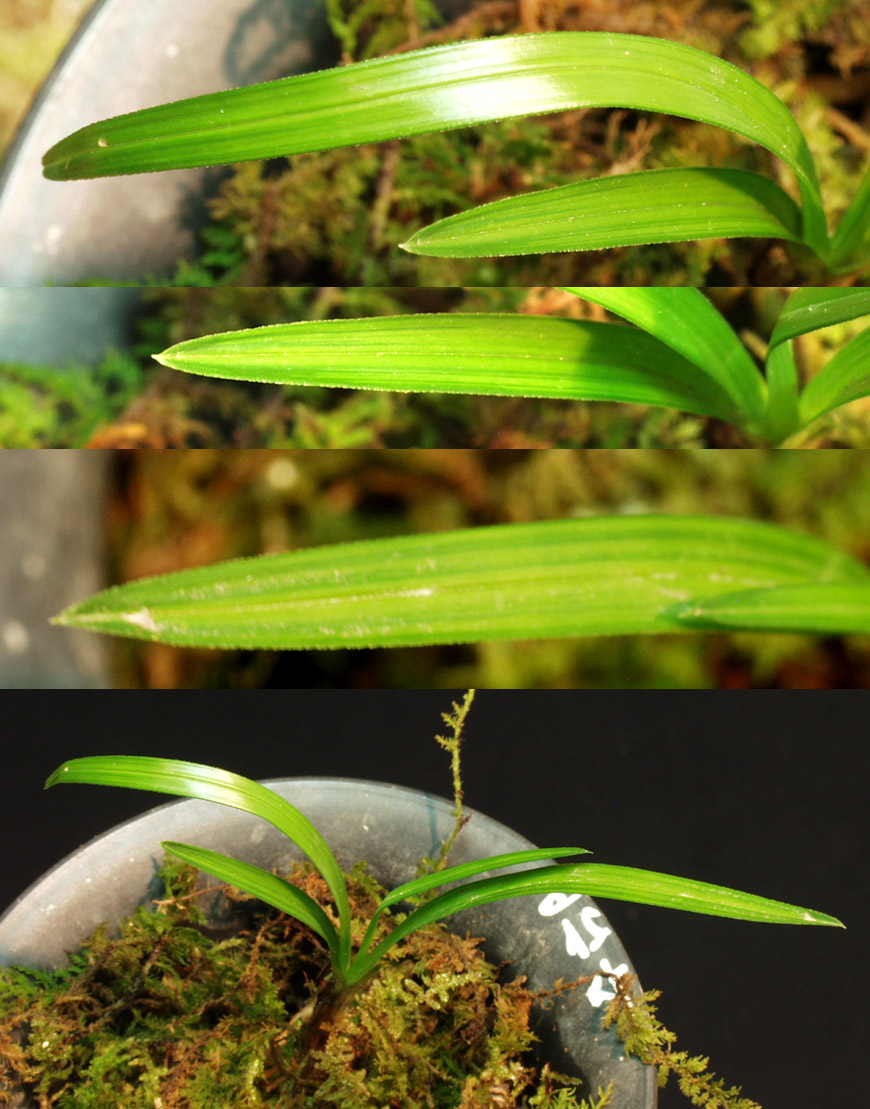 ������ ū������ �� �� �ֽ��ϴ�.