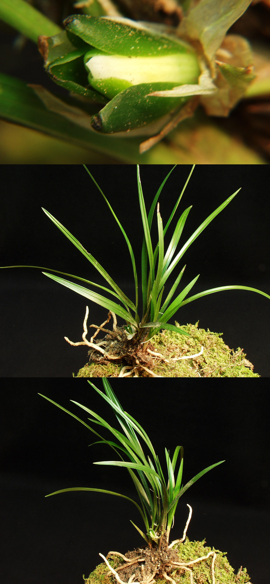 ������ ū������ �� �� �ֽ��ϴ�.