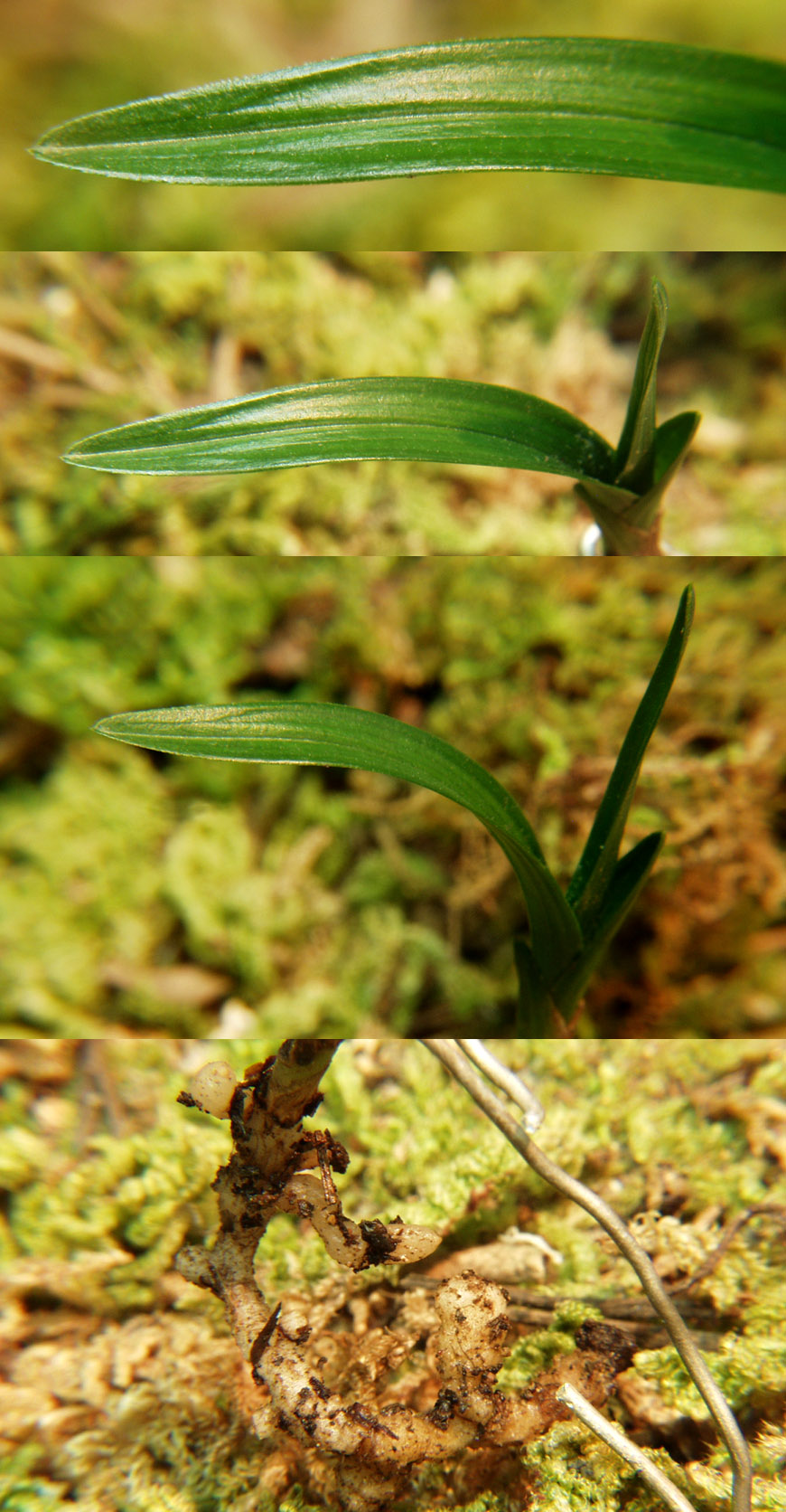 ������ ū������ �� �� �ֽ��ϴ�.