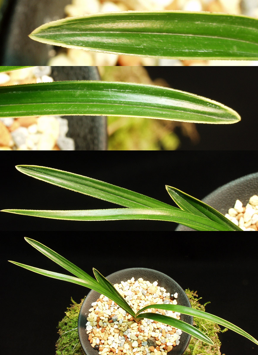 ������ ū������ �� �� �ֽ��ϴ�.