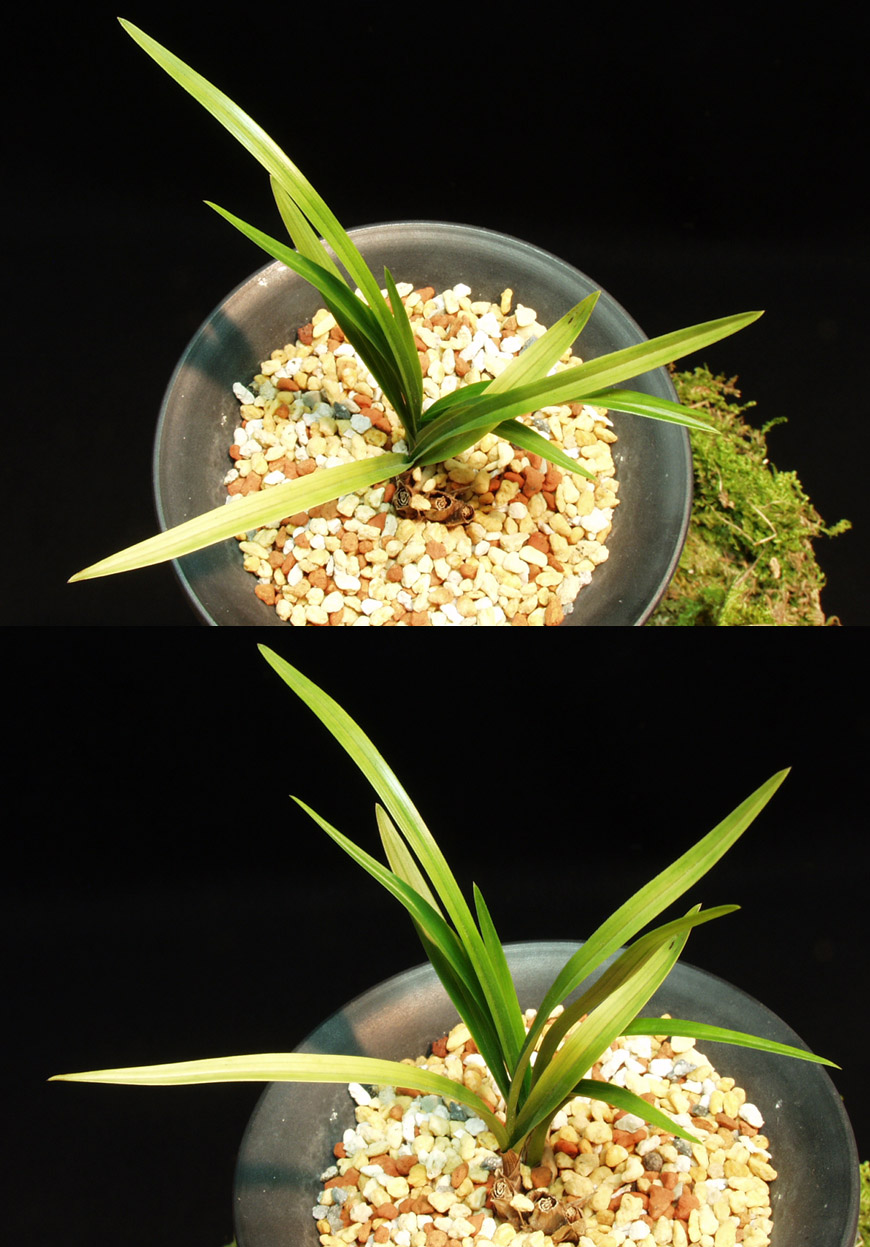 ������ ū������ �� �� �ֽ��ϴ�.