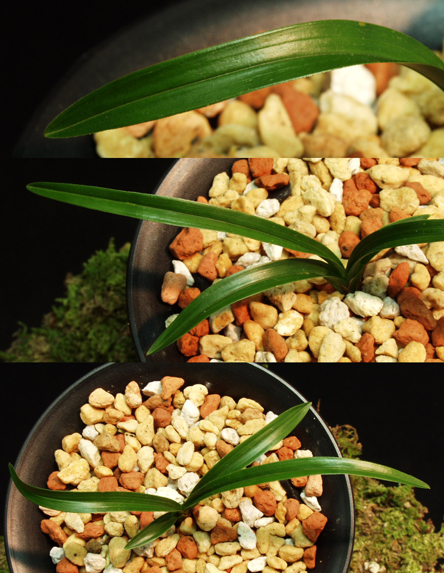 ������ ū������ �� �� �ֽ��ϴ�.