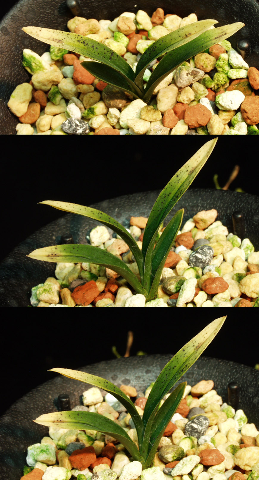 ������ ū������ �� �� �ֽ��ϴ�.