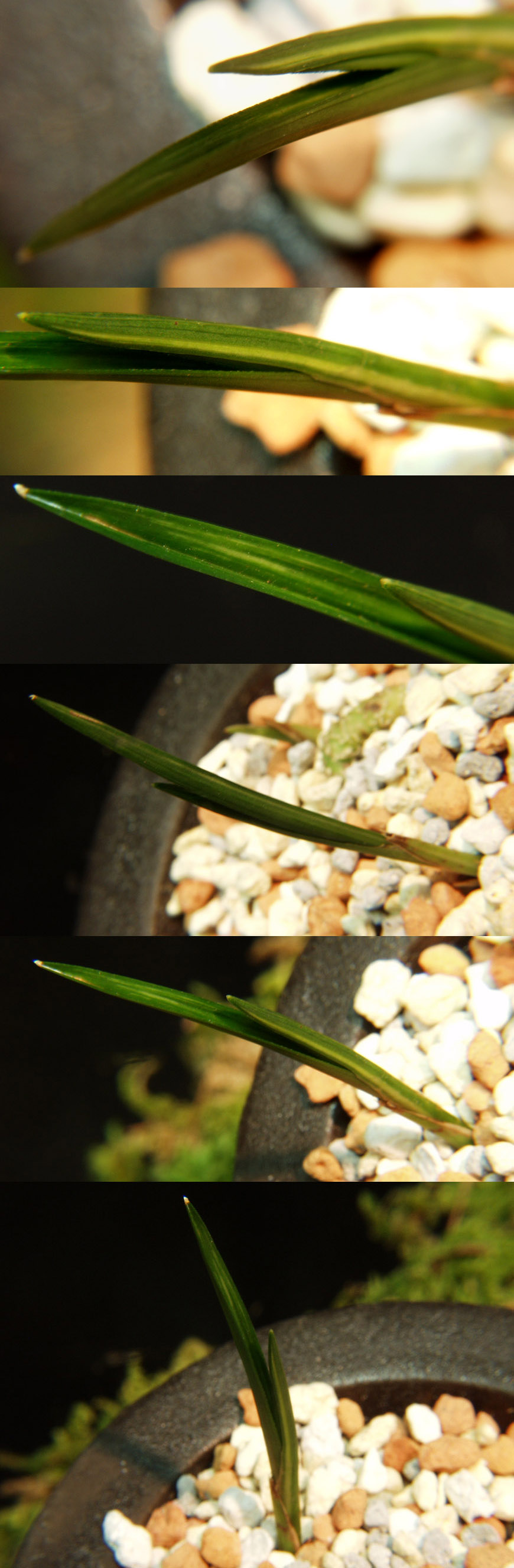 ������ ū������ �� �� �ֽ��ϴ�.