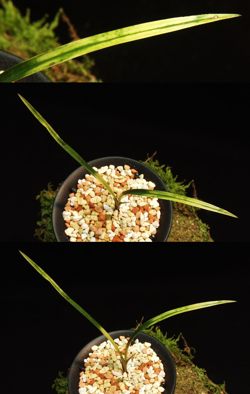 ������ ū������ �� �� �ֽ��ϴ�.