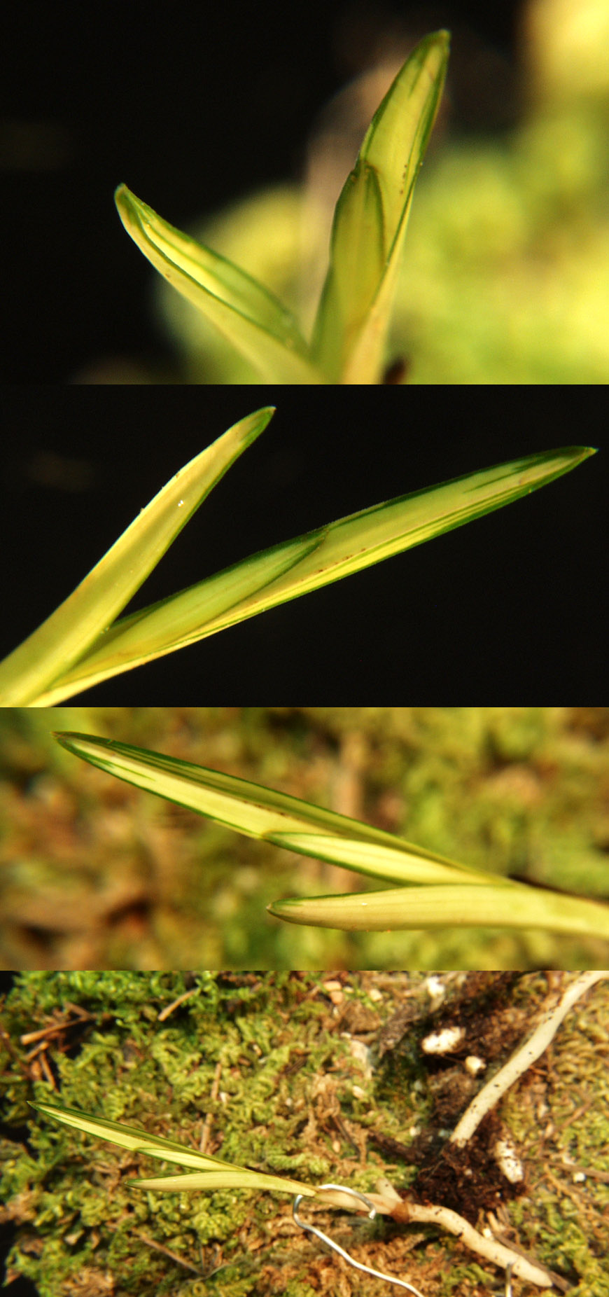 ������ ū������ �� �� �ֽ��ϴ�.