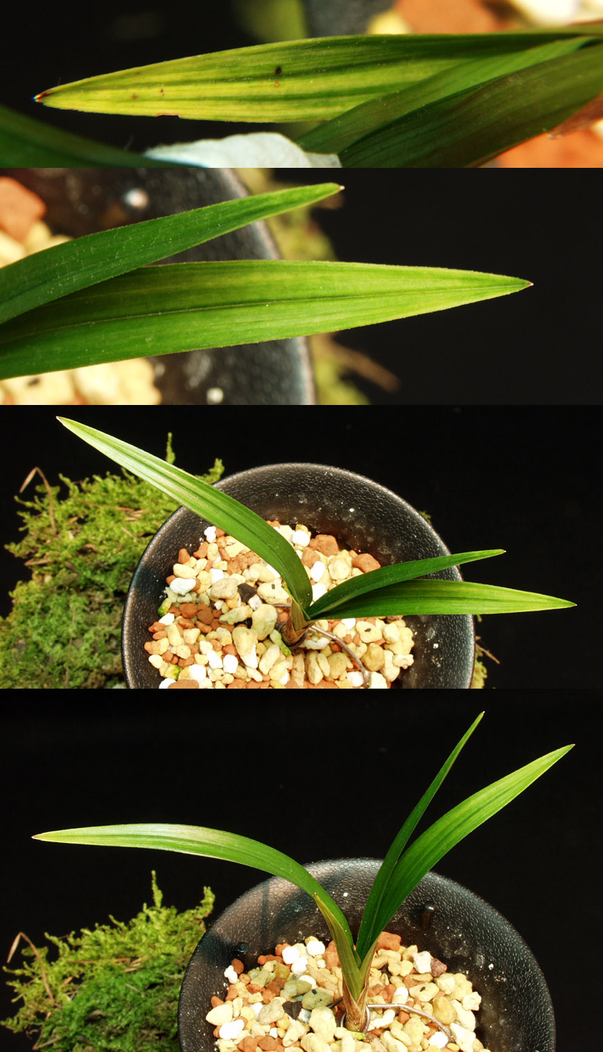 ������ ū������ �� �� �ֽ��ϴ�.