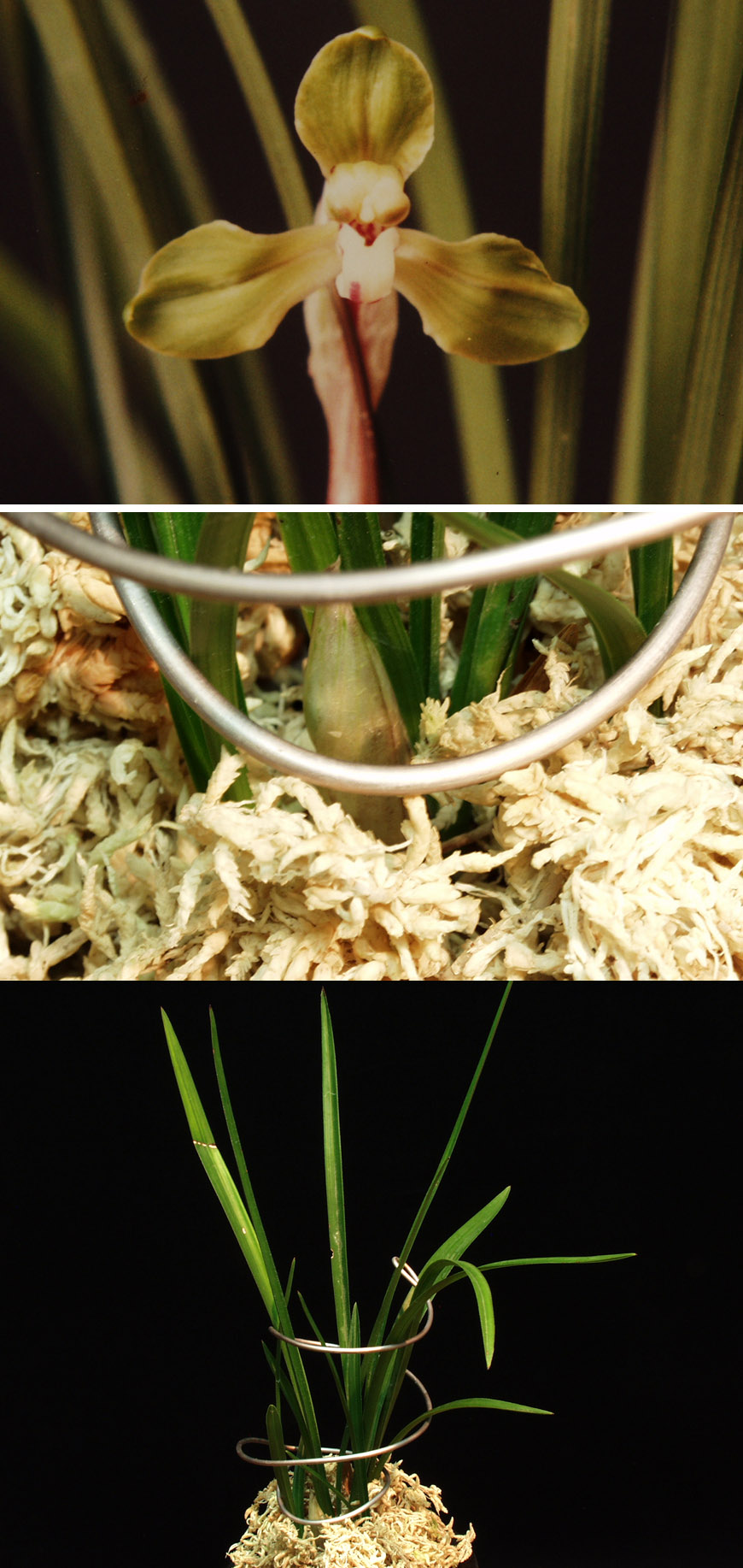 ������ ū������ �� �� �ֽ��ϴ�.