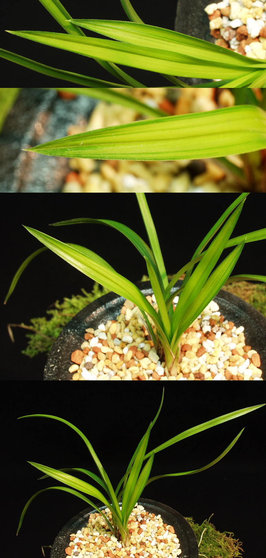 ������ ū������ �� �� �ֽ��ϴ�.