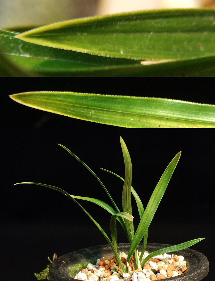 ������ ū������ �� �� �ֽ��ϴ�.