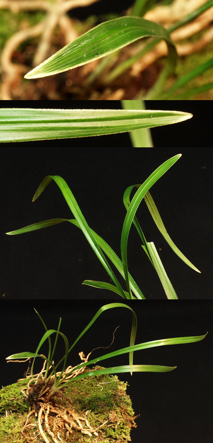 ������ ū������ �� �� �ֽ��ϴ�.