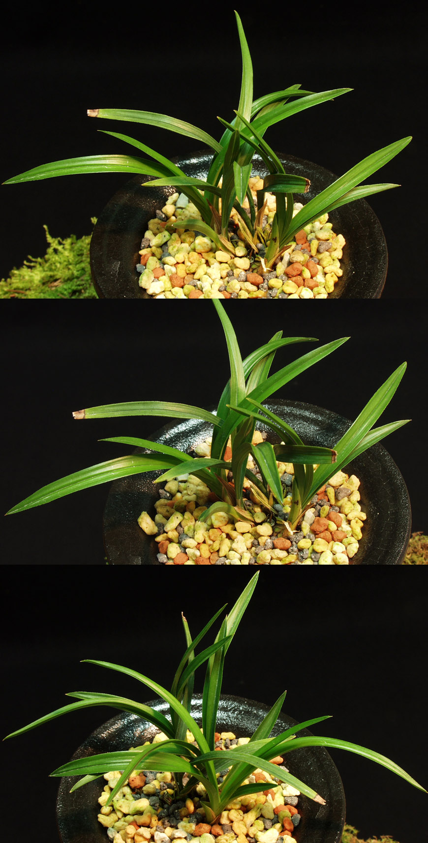 ������ ū������ �� �� �ֽ��ϴ�.