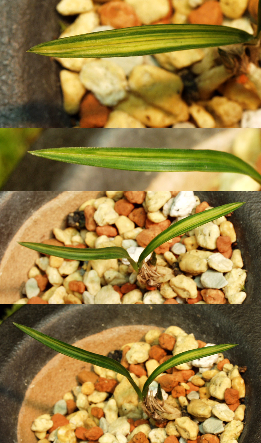 ������ ū������ �� �� �ֽ��ϴ�.