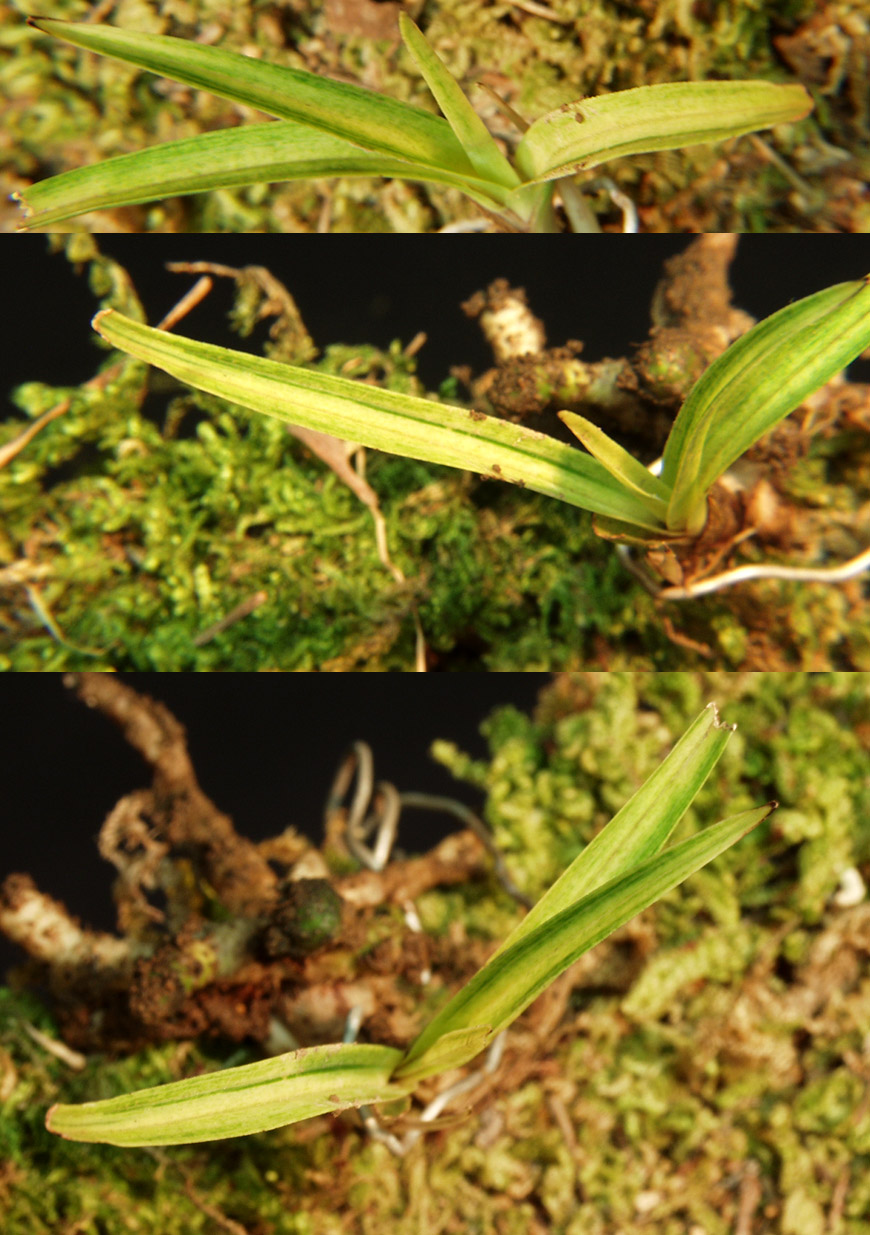 ������ ū������ �� �� �ֽ��ϴ�.