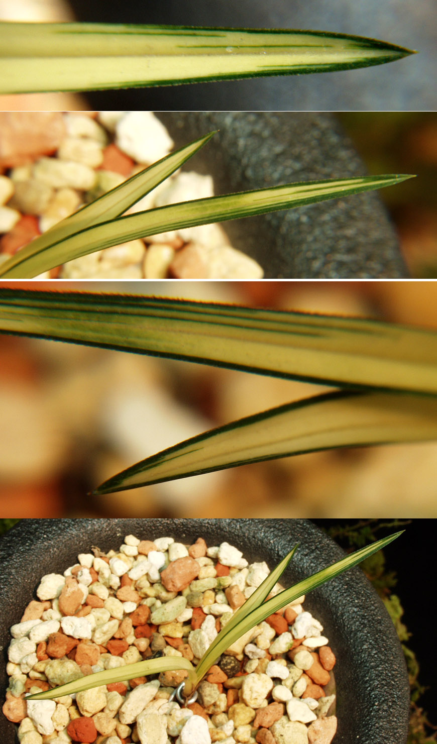 ������ ū������ �� �� �ֽ��ϴ�.