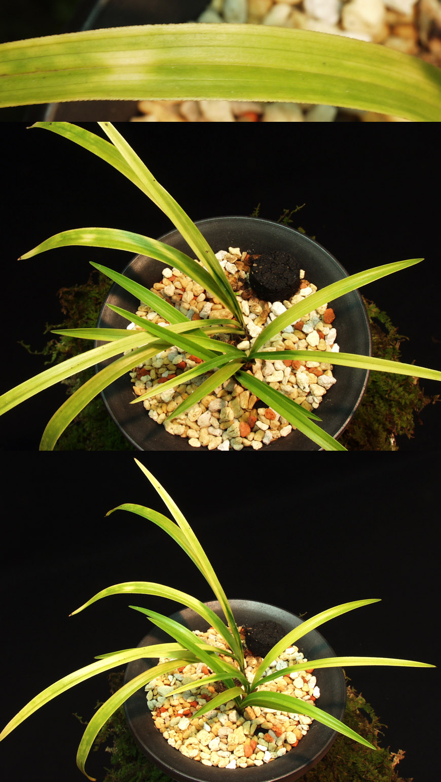 ������ ū������ �� �� �ֽ��ϴ�.