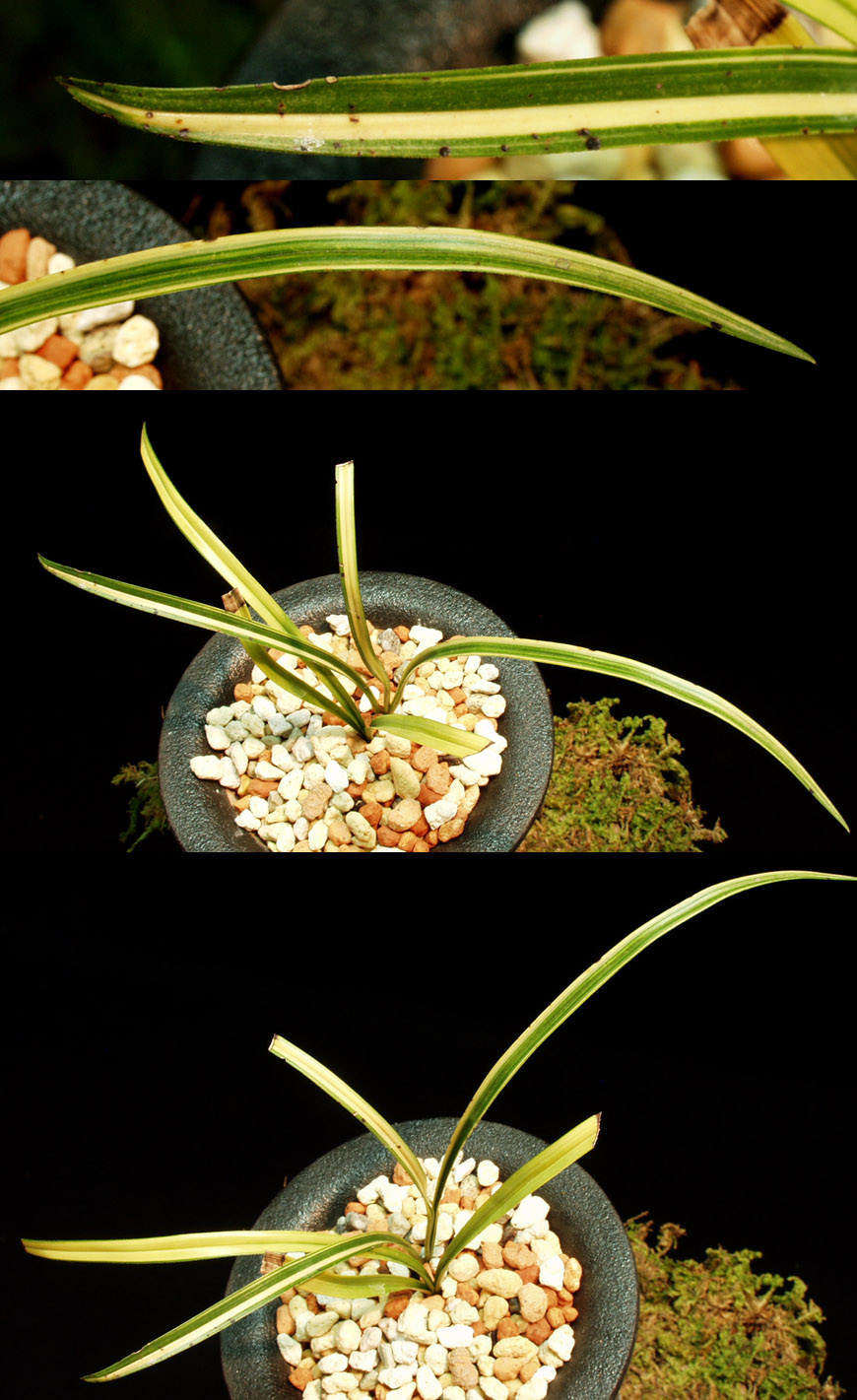 ������ ū������ �� �� �ֽ��ϴ�.