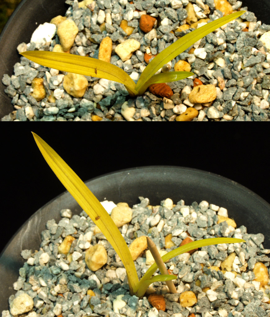 ������ ū������ �� �� �ֽ��ϴ�.