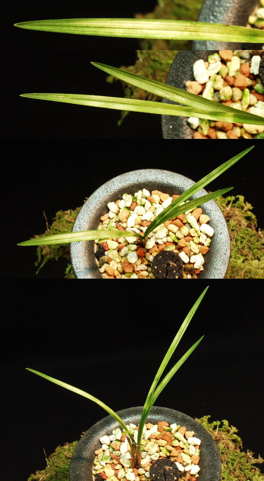 ������ ū������ �� �� �ֽ��ϴ�.