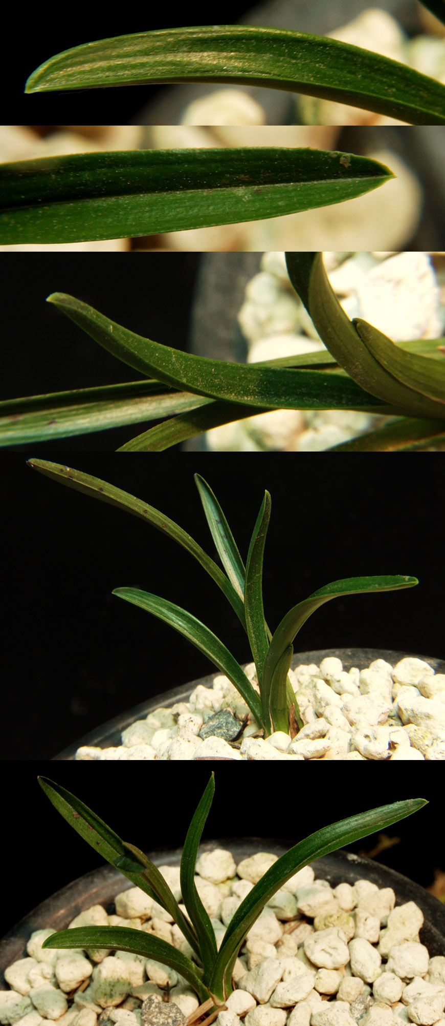 ������ ū������ �� �� �ֽ��ϴ�.