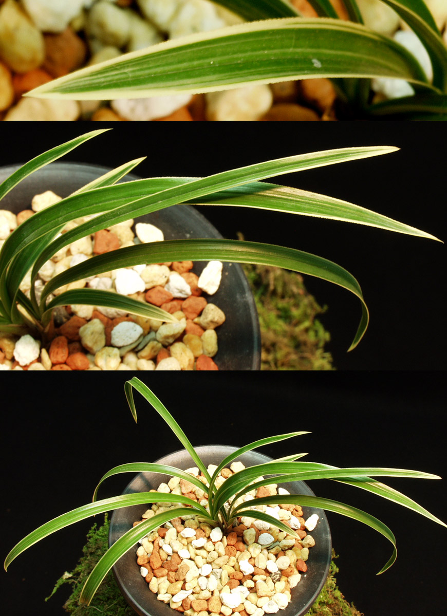 ������ ū������ �� �� �ֽ��ϴ�.