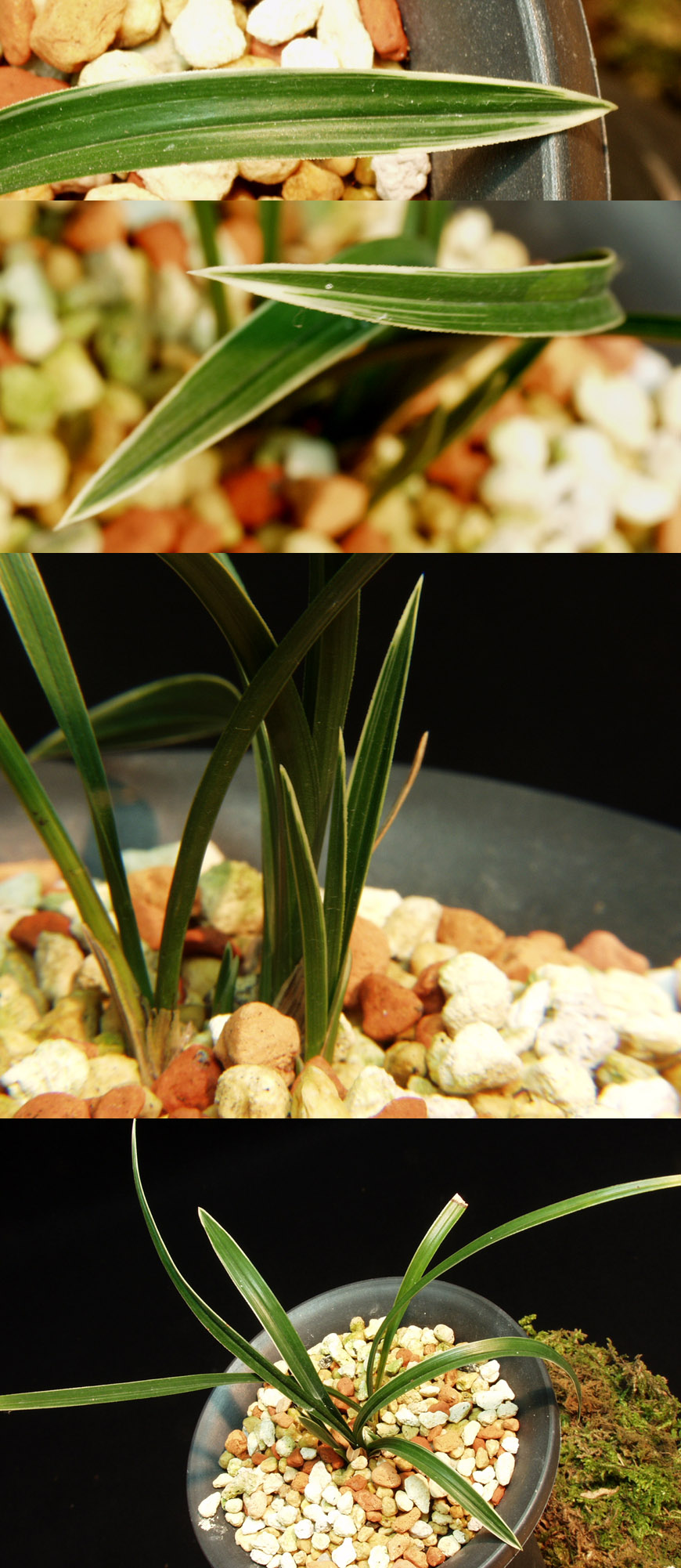 ������ ū������ �� �� �ֽ��ϴ�.